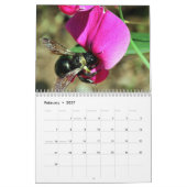 Wildlife-Kalender Kalender (Feb 2027)