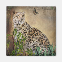 Wildlife Leopard Fotograf Butterfly Warme Farben