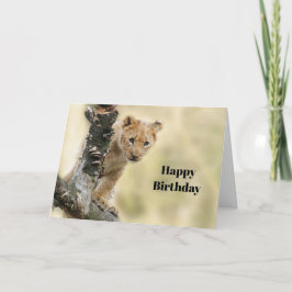 Wildlife Lion Cub Foto Geburtstag Karte