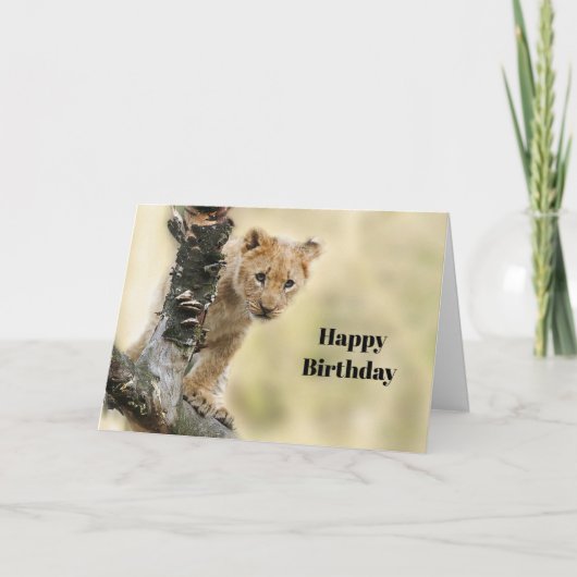 Wildlife Lion Cub Foto Geburtstag Karte (Vorderseite)