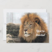 Wildlife Lion Foto Birthday Einladung (Vorderseite)