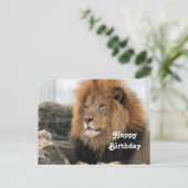 Wildlife Lion Foto Birthday Postkarte (Stehend Vorderseite)
