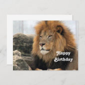 Wildlife Lion Foto Birthday Postkarte (Vorne/Hinten)