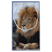Wildlife Lion Foto Kleine Geschenktüte (Rückseite)