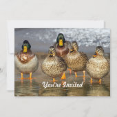Wildlife Mallard Ducks Foto Geburtstag Einladung (Vorderseite)