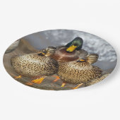 Wildlife Mallard Ducks Foto Pappteller (Schrägansicht)