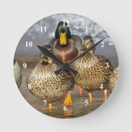 Wildlife Mallard Ducks Foto Runde Wanduhr
