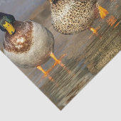 Wildlife Mallard Ducks Foto Seidenpapier (Ausschnitt)