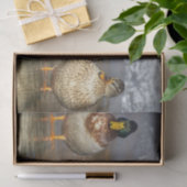 Wildlife Mallard Ducks Foto Seidenpapier (Geschenk)
