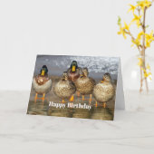 Wildlife Mallard Encks Foto Geburtstag Karte (Gelbe Blume)