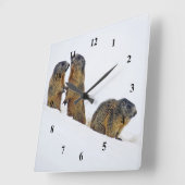 Wildlife Marmots Snow Foto Quadratische Wanduhr (Winkel)