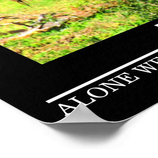 Wildlife Motivierend Posters Buffalo Teamwork Poster (Ecke)