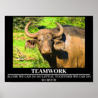 Wildlife Motivierend Posters Buffalo Teamwork Poster
