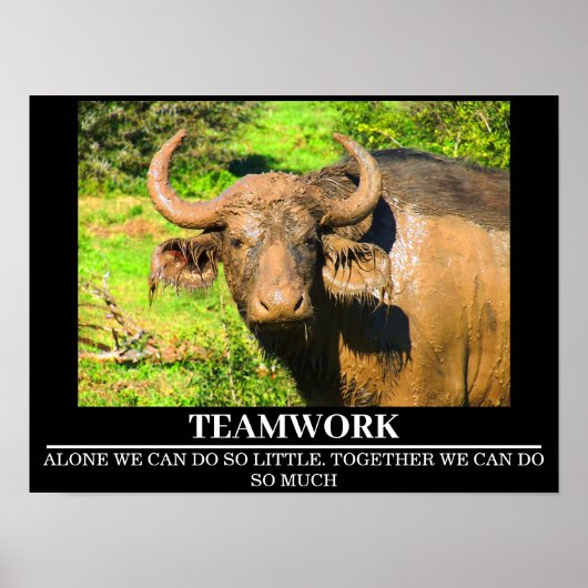 Wildlife Motivierend Posters Buffalo Teamwork Poster (Vorne)