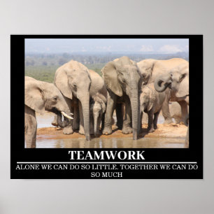 Wildlife Motivierend Posters Elephant Teamwork Poster