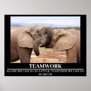Wildlife Motivierend Posters Elephant Teamwork Poster