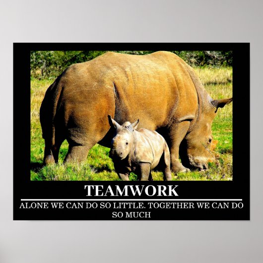 Wildlife Motivierend Posters Rhinos Teamwork Poster (Vorne)