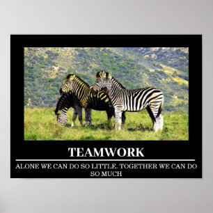 Wildlife Motivierend Posters Zebra Teamwork Poster