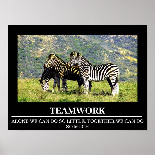 Wildlife Motivierend Posters Zebra Teamwork Poster (Vorne)