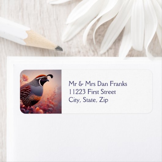 Wildlife Nature California Quail Bird (Insitu)