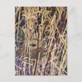 Wildlife Nest Art Postkarte (Vorderseite)