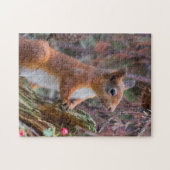 Wildlife Niedlich Red Eichel Puzzle (Horizontal)
