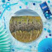 Wildlife Ostrich Flock Foto Pappteller (Party)