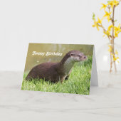 Wildlife Otter Foto Geburtstag Karte (Gelbe Blume)