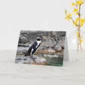 Wildlife Penguin Foto Beileid Karte (Gelbe Blume)