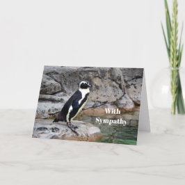 Wildlife Penguin Foto Beileid Karte