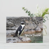 Wildlife Penguin Foto Geburtstag Einladung (Stehend Vorderseite)