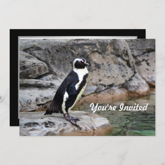 Wildlife Penguin Foto Geburtstag Einladung