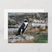 Wildlife Penguin Foto Geburtstag Postkarte (Vorne/Hinten)