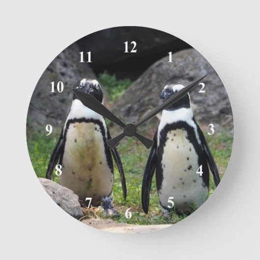 Wildlife Penguin Pair Photo Runde Wanduhr (Vorderseite)