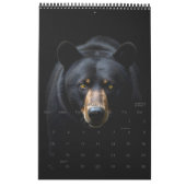 Wildlife Portrait Kalender (Jan 2027)