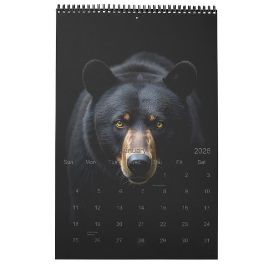 Wildlife Portrait Kalender (Jan 2026)