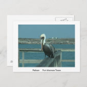 Wildlife Post Card Postkarte (Vorne/Hinten)