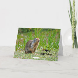 Wildlife Prairie Dog Foto Geburtstag Karte