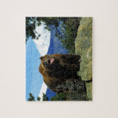 Wildlife Puzzle-Bär Puzzle (Vertikal)