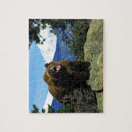 Wildlife Puzzle-Bär Puzzle (Vertikal)