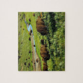 Wildlife Puzzle-Buffalo Jigsaw Puzzle (Vertikal)