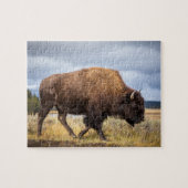 Wildlife Puzzle-Buffalo Jigsaw Puzzle (Horizontal)