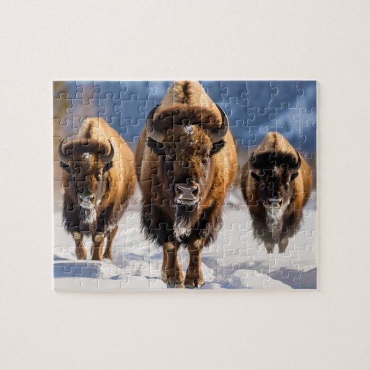 Wildlife Puzzle-Buffalo Puzzle (Horizontal)