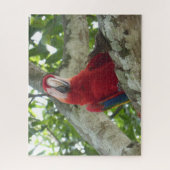 Wildlife Puzzle: Colorful Red Parrot Puzzle (Vertikal)
