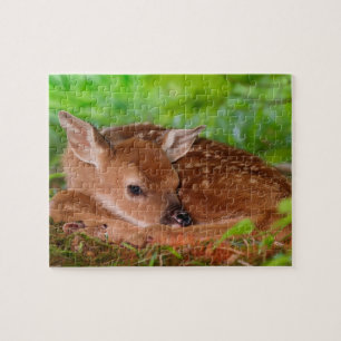 Wildlife Puzzle Fawn