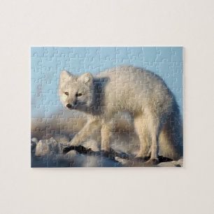 Wildlife Puzzle-Fox Puzzle