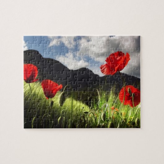 Wildlife Puzzle-Red Poppies Puzzle (Horizontal)