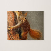 Wildlife Puzzle-Squirrel Jigsaw Puzzle (Horizontal)