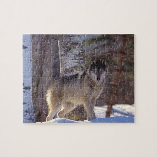 Wildlife Puzzle-Wolf Puzzle (Horizontal)