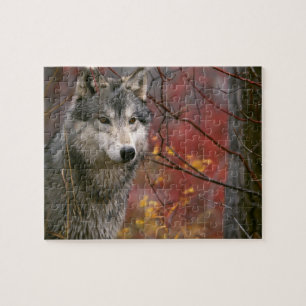 Wildlife Puzzle-Wolf Puzzle